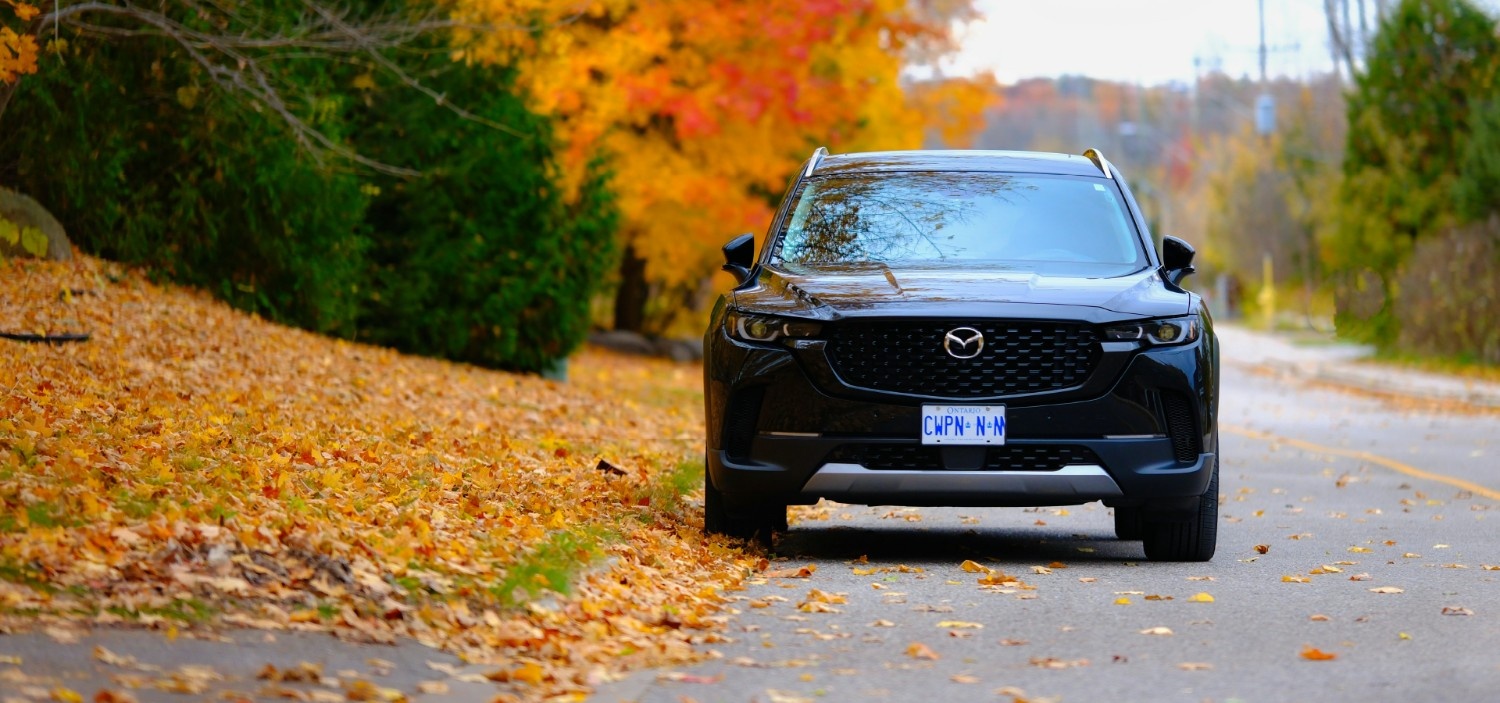 Drive More, Pay Less